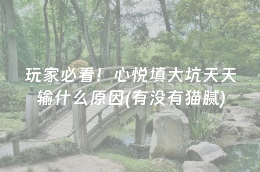玩家必看！心悦填大坑天天输什么原因(有没有猫腻)