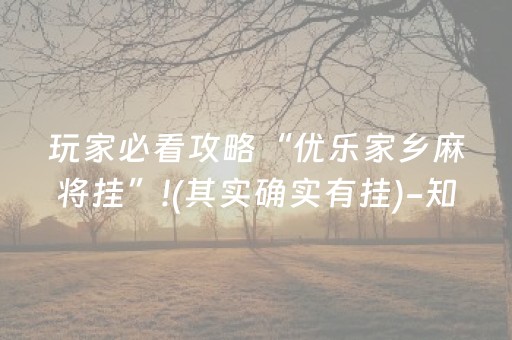 玩家必看攻略“优乐家乡麻将挂”!(其实确实有挂)-知乎
