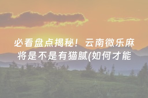 必看盘点揭秘！云南微乐麻将是不是有猫腻(如何才能赢)