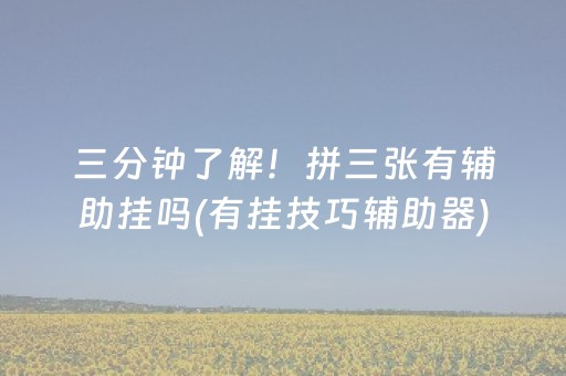 三分钟了解！拼三张有辅助挂吗(有挂技巧辅助器)