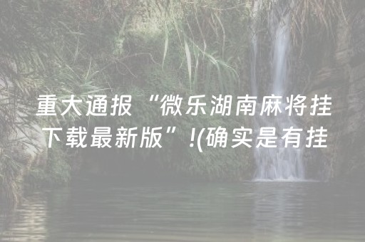 重大通报“微乐湖南麻将挂下载最新版”!(确实是有挂)-知乎