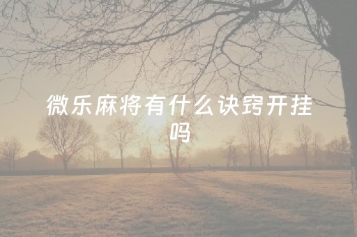 微乐麻将有什么诀窍开挂吗（微乐麻将有什么诀窍开挂吗）