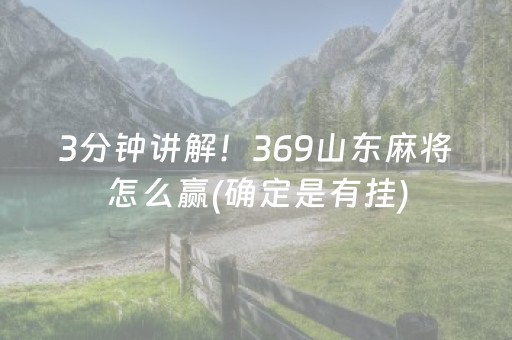 3分钟讲解！369山东麻将怎么赢(确定是有挂)