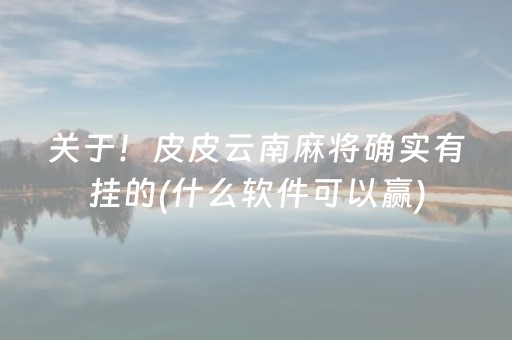 关于！皮皮云南麻将确实有挂的(什么软件可以赢)