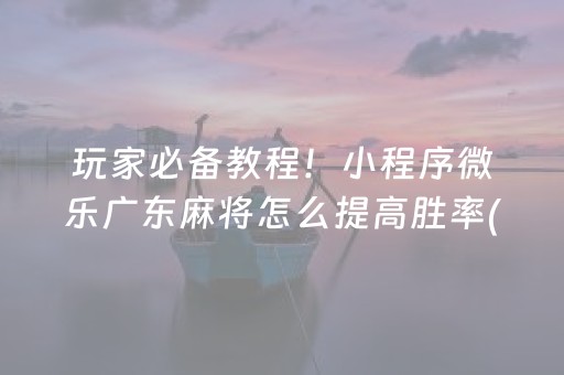 玩家必备教程！小程序微乐广东麻将怎么提高胜率(助手神器外辅工具)