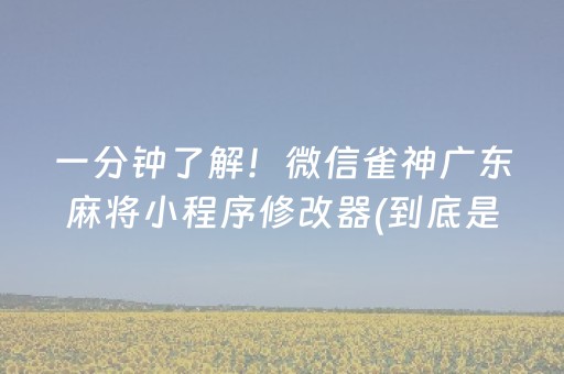 一分钟了解！微信雀神广东麻将小程序修改器(到底是不是有挂)