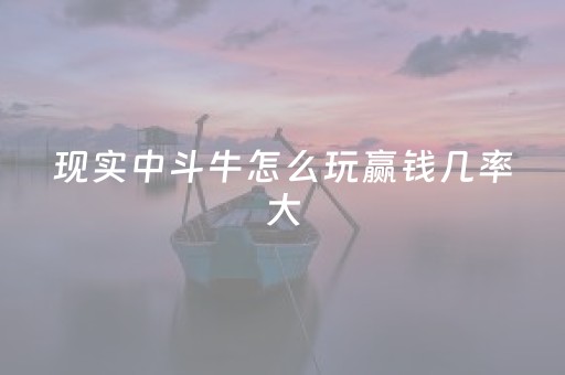 现实中斗牛怎么玩赢钱几率大（现实中斗牛牛怎么做牌）