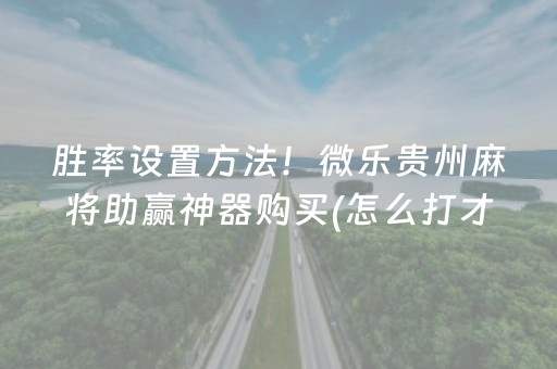 胜率设置方法！微乐贵州麻将助赢神器购买(怎么打才能赢)