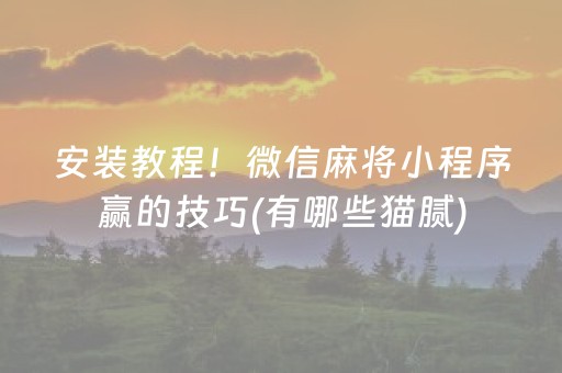 安装教程！微信麻将小程序赢的技巧(有哪些猫腻)