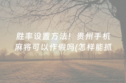 胜率设置方法！贵州手机麻将可以作假吗(怎样能抓到好牌)