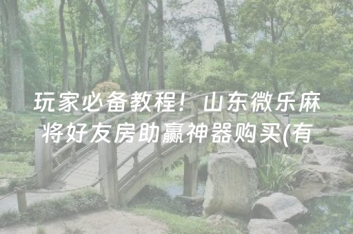 玩家必备教程！山东微乐麻将好友房助赢神器购买(有哪些猫腻)