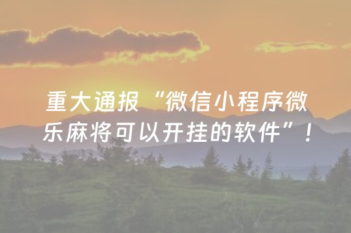 重大通报“微信小程序微乐麻将可以开挂的软件”!(确实是有挂)-知乎