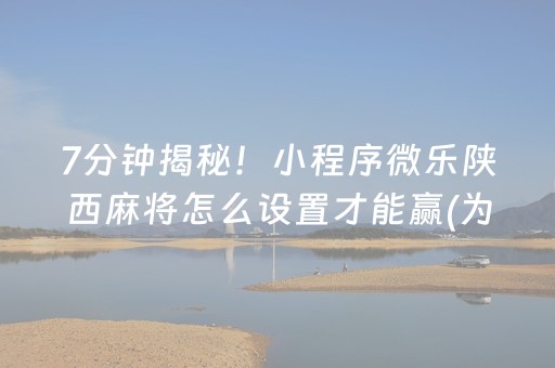 7分钟揭秘！小程序微乐陕西麻将怎么设置才能赢(为什么老输)
