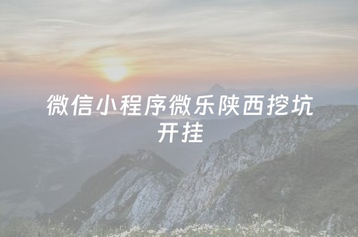 微信小程序微乐陕西挖坑开挂（微乐陕西挖坑有记牌器吗）