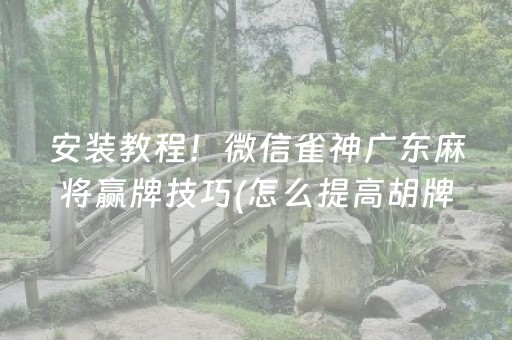 安装教程！微信雀神广东麻将赢牌技巧(怎么提高胡牌率)