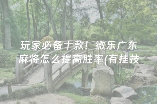 玩家必备十款！微乐广东麻将怎么提高胜率(有挂技巧辅助器)