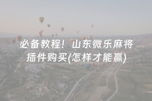 必备教程！山东微乐麻将插件购买(怎样才能赢)