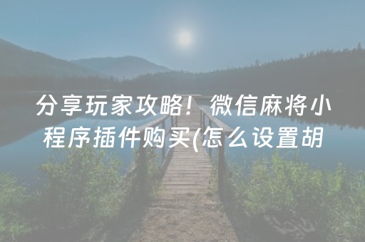 分享玩家攻略！微信麻将小程序插件购买(怎么设置胡牌)