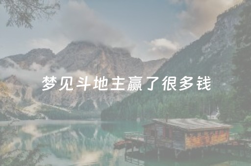梦见斗地主赢了很多钱（梦见斗地主赢了很多钱啥意思）