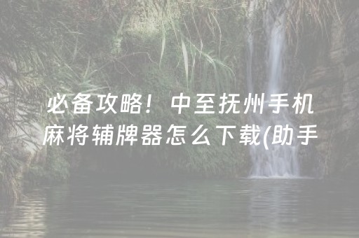 必备攻略！中至抚州手机麻将辅牌器怎么下载(助手神器外辅工具)