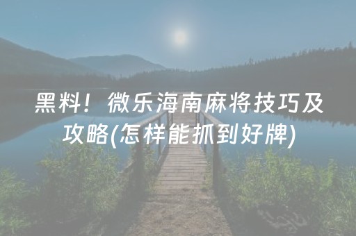 黑料！微乐海南麻将技巧及攻略(怎样能抓到好牌)