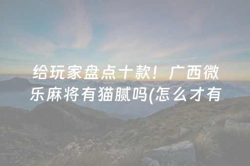 给玩家盘点十款！广西微乐麻将有猫腻吗(怎么才有赢的几率)