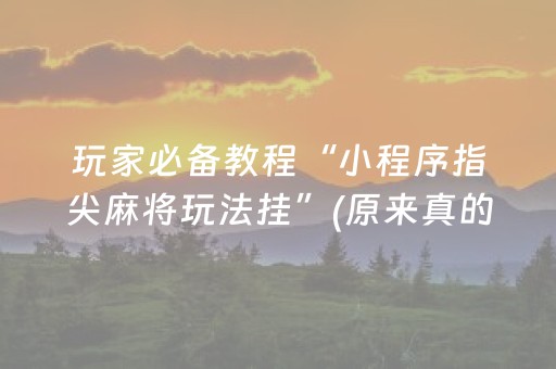 玩家必备教程“小程序指尖麻将玩法挂”(原来真的有挂)-知乎