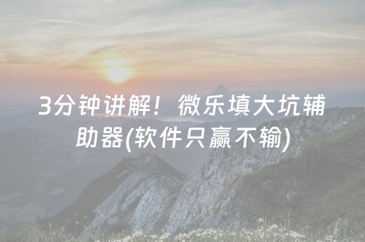 3分钟讲解！微乐填大坑辅助器(软件只赢不输)
