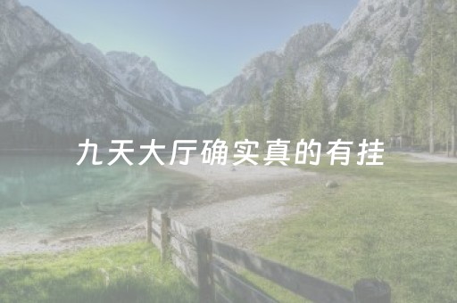 九天大厅确实真的有挂（九天大厅）