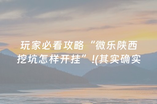 玩家必看攻略“微乐陕西挖坑怎样开挂”!(其实确实有挂)-知乎