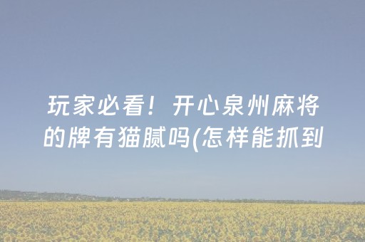 玩家必看！开心泉州麻将的牌有猫腻吗(怎样能抓到好牌)