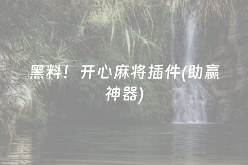 黑料！开心麻将插件(助赢神器)