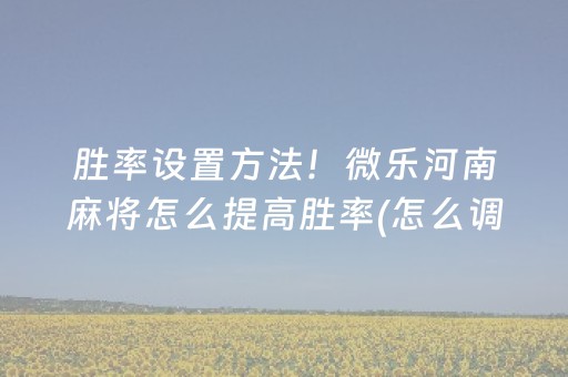 胜率设置方法！微乐河南麻将怎么提高胜率(怎么调整胜率)
