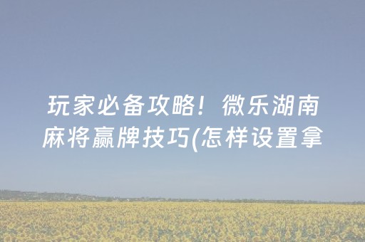 玩家必备攻略！微乐湖南麻将赢牌技巧(怎样设置拿好牌)
