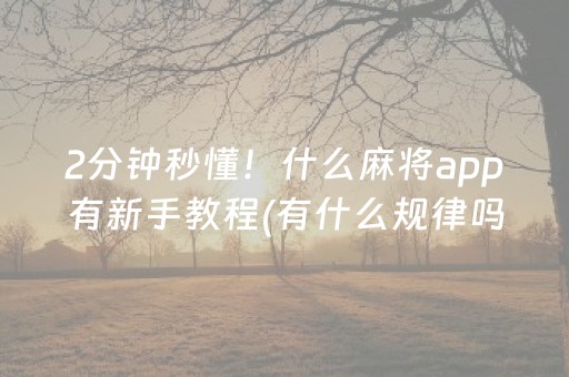 2分钟秒懂！什么麻将app有新手教程(有什么规律吗)