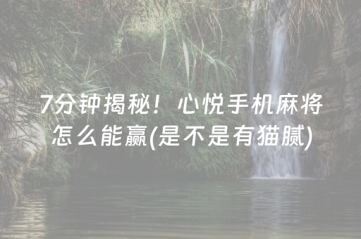 7分钟揭秘！心悦手机麻将怎么能赢(是不是有猫腻)