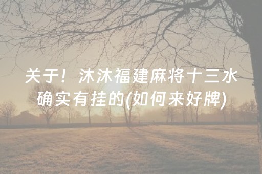 关于！沐沐福建麻将十三水确实有挂的(如何来好牌)