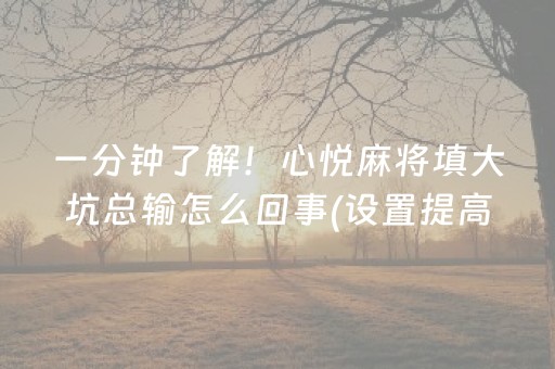 一分钟了解！心悦麻将填大坑总输怎么回事(设置提高好牌几率)