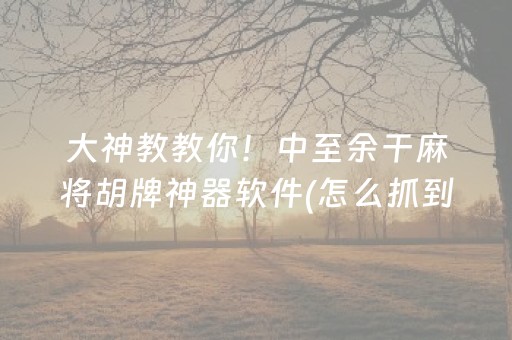 大神教教你！中至余干麻将胡牌神器软件(怎么抓到好牌)