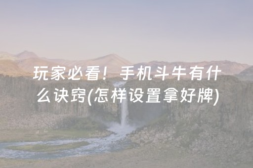玩家必看！手机斗牛有什么诀窍(怎样设置拿好牌)