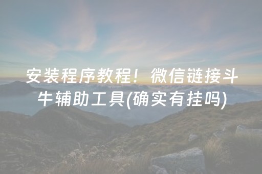 安装程序教程！微信链接斗牛辅助工具(确实有挂吗)