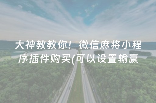 大神教教你！微信麻将小程序插件购买(可以设置输赢吗)