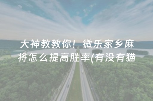 大神教教你！微乐家乡麻将怎么提高胜率(有没有猫腻)