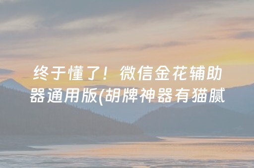 终于懂了！微信金花辅助器通用版(胡牌神器有猫腻吗)