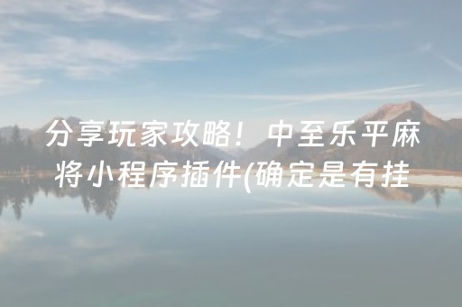 分享玩家攻略！中至乐平麻将小程序插件(确定是有挂)