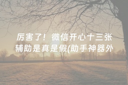 厉害了！微信开心十三张辅助是真是假(助手神器外辅工具)