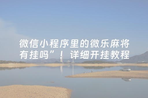 微信小程序里的微乐麻将有挂吗”！详细开挂教程（确实真的有挂)-知乎