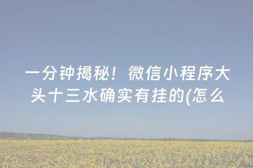 一分钟揭秘！微信小程序大头十三水确实有挂的(怎么抓到好牌)