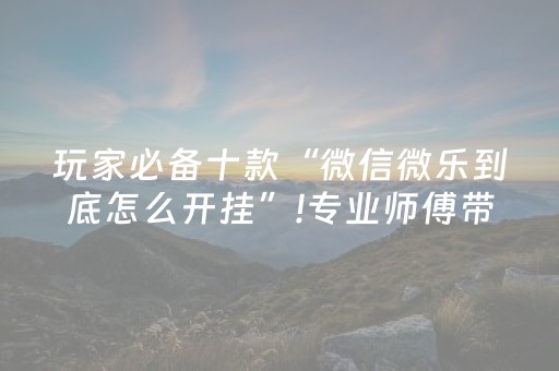 玩家必备十款“微信微乐到底怎么开挂”!专业师傅带你一起了解（详细教程）-知乎