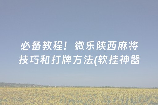 必备教程！微乐陕西麻将技巧和打牌方法(软挂神器)